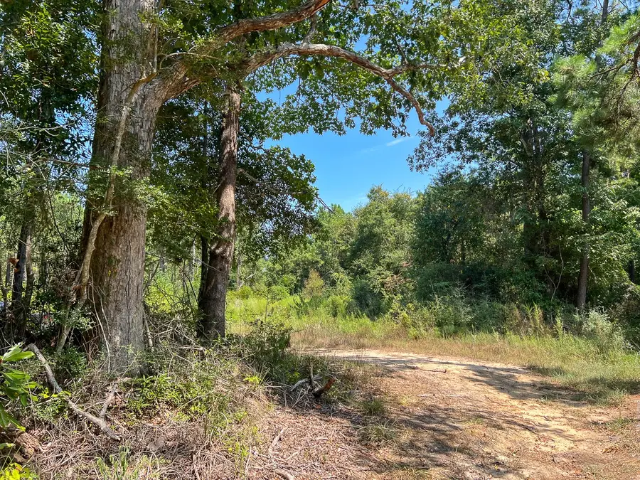 0 Cr 314, Kirbyville, TX 75956 - #2