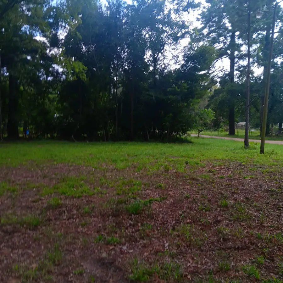 0 Hill Top Lane, Point Blank, TX 77364 - Image #2