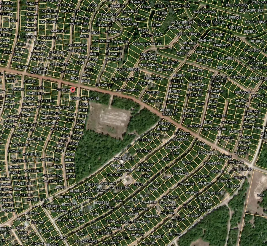 Lot 39 Ridge Lane, Normangee, TX 77871 - Image #3