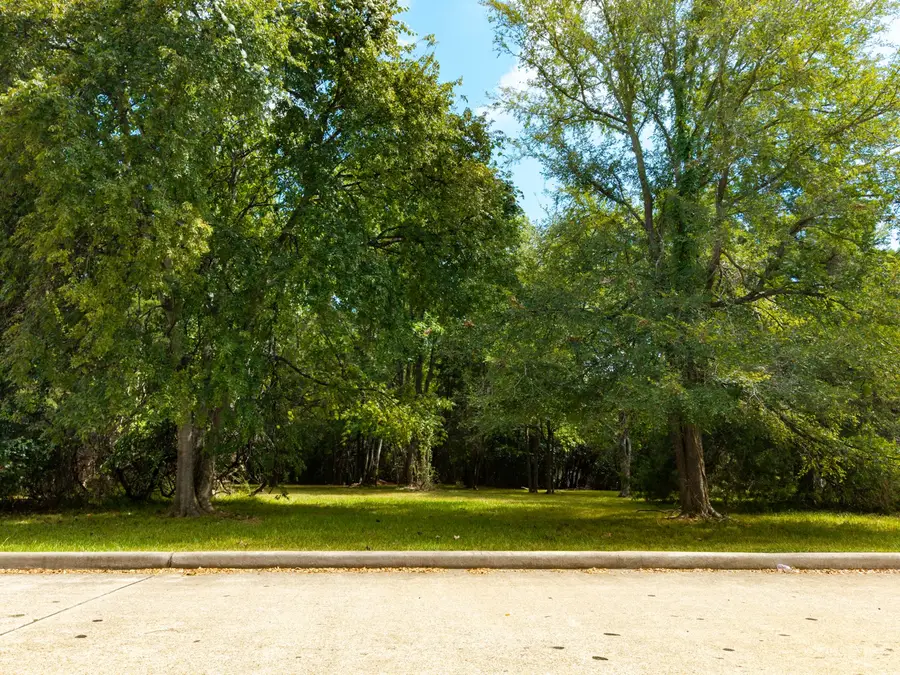11737 Sagittarius W, Willis, TX 77318 - #3