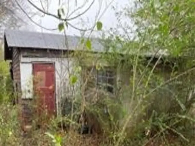10450 St Hwy 21 E, Alto, TX 75925 - #1
