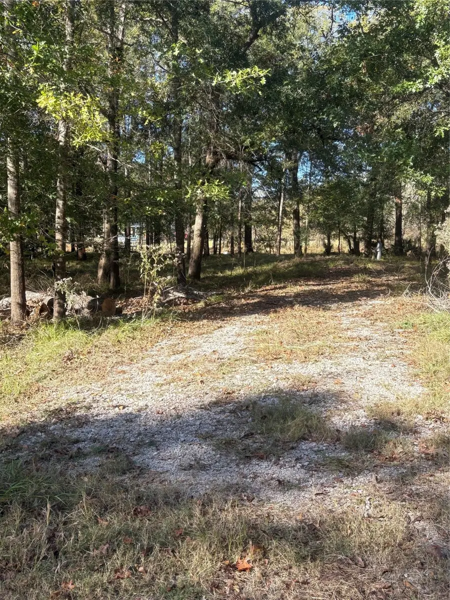 195 Center Street, Cleveland, TX 77327 - #3