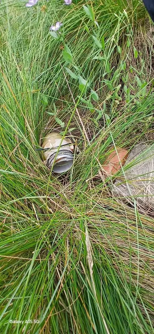 1206 Bluewater Street, Sargent, TX 77414 - Image #2