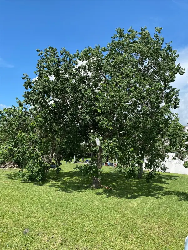 520 12th Street, San Leon, TX 77539