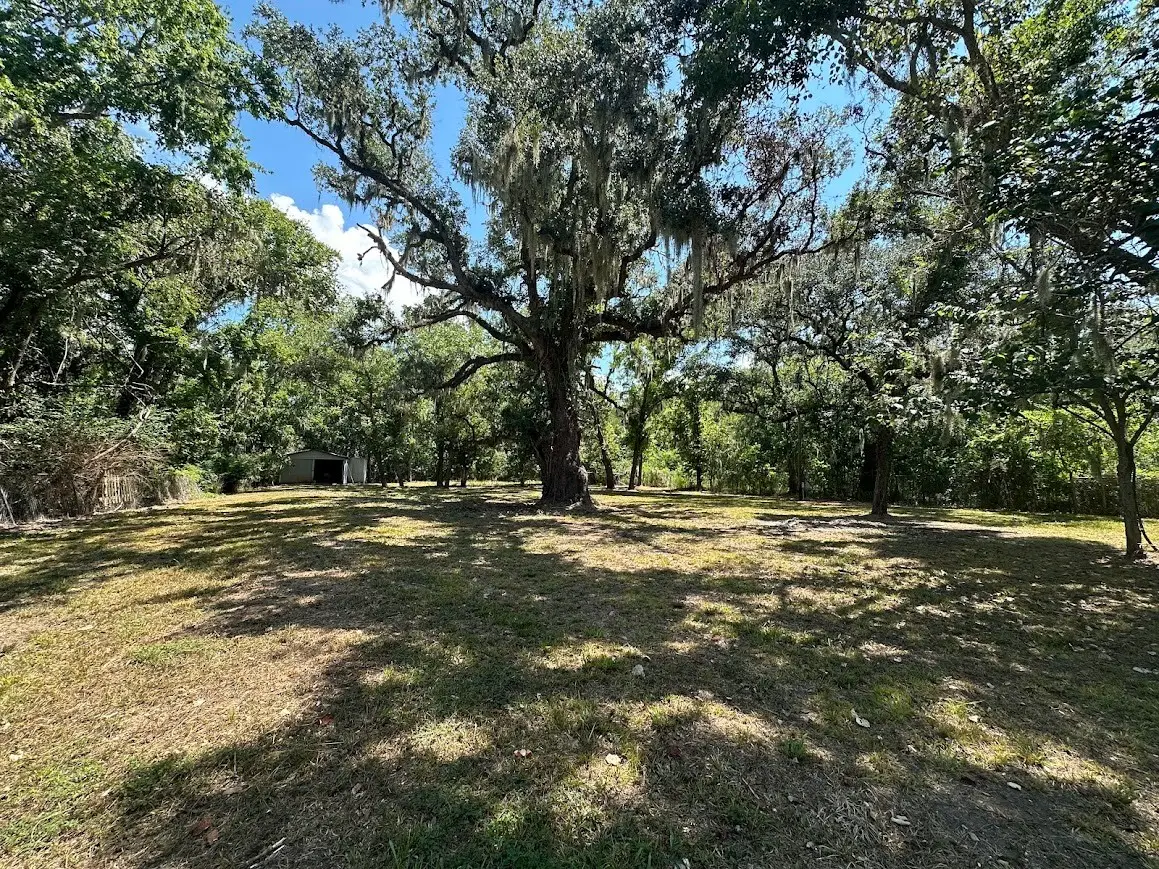 0 Austin Street, Brazoria, TX 77422 - Image #1