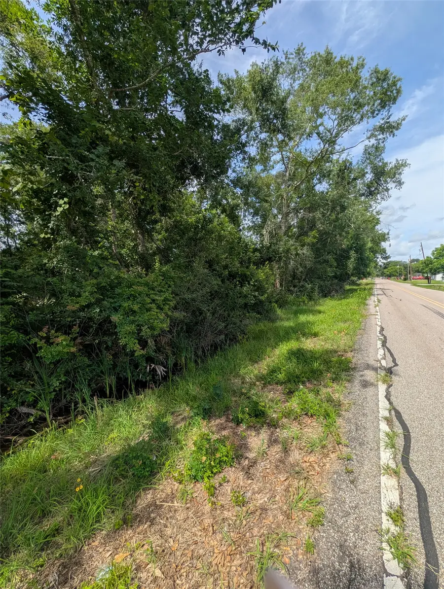 000 Oak Forest Street, Brazoria, TX 77422 - #3