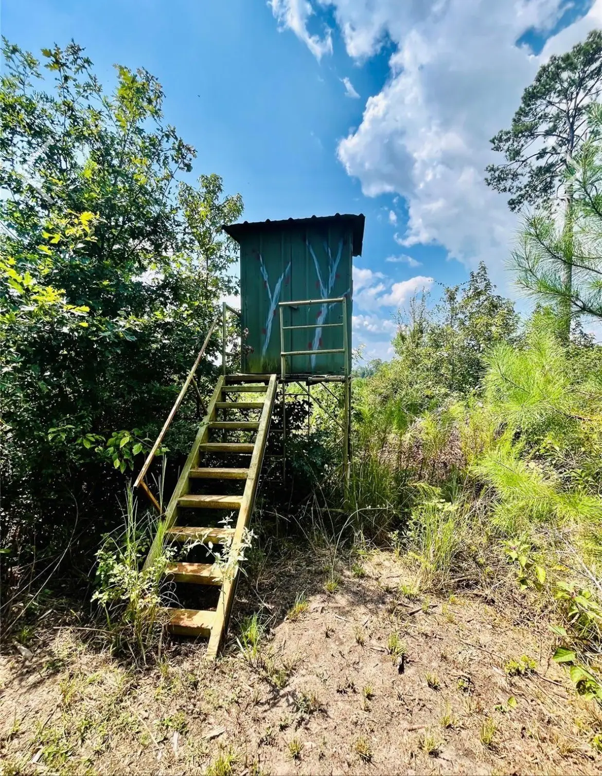 9 Nine Bridges Road, Corrigan, TX 75939 - #1