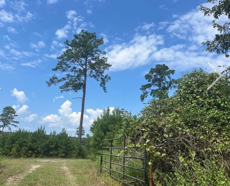 9 Nine Bridges Road, Corrigan, TX 75939 - #3
