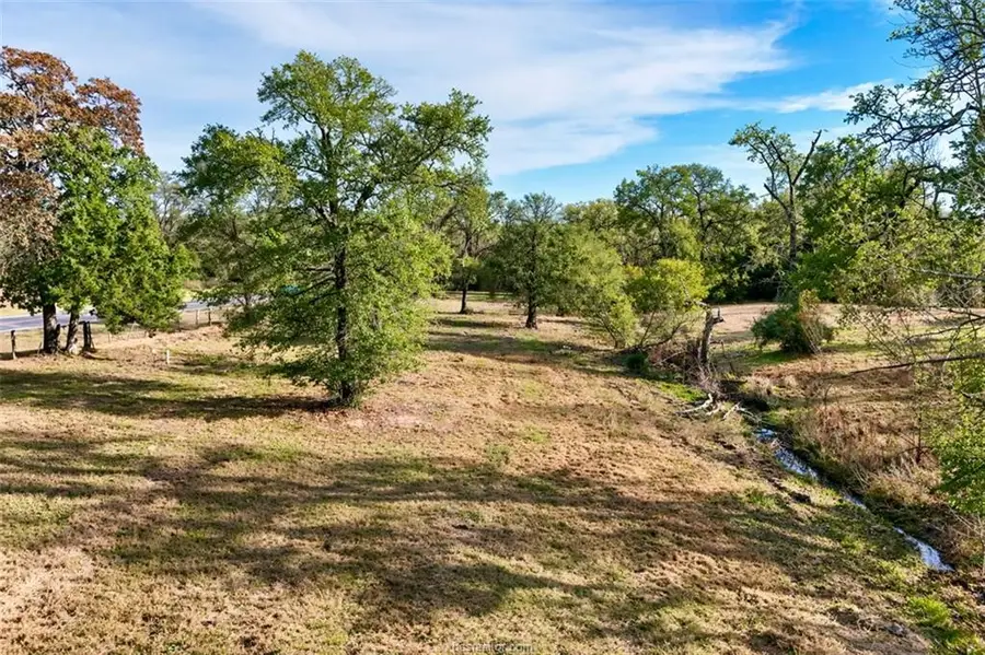 TBD S Fm 46 - 10 Acres, Franklin, TX 77856 - #3