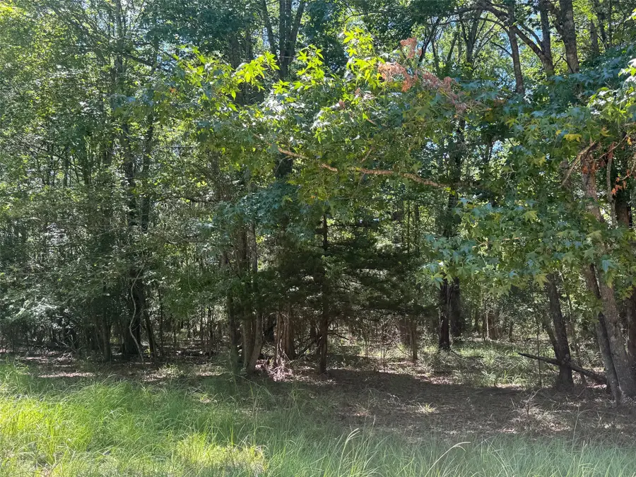 390 Pr 5200, Kennard, TX 75847 - #3