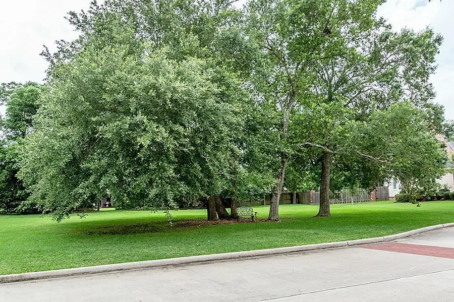 1215 Larkspur Lane, Seabrook, TX 77586 - Image #3