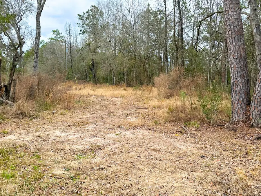 12280 Pelt, Kountze, TX 77625 - #3