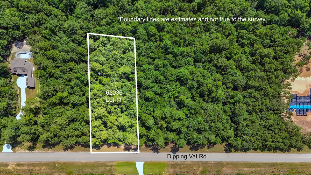 1.52 acres Dipping Vat Road, Huntsville, TX 77340 - #1
