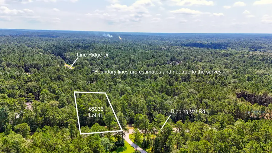 1.52 acres Dipping Vat Road, Huntsville, TX 77340 - #3