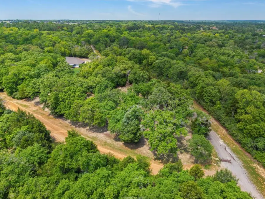 TBD Country Place, Hilltop Lakes, TX 77871 - #2