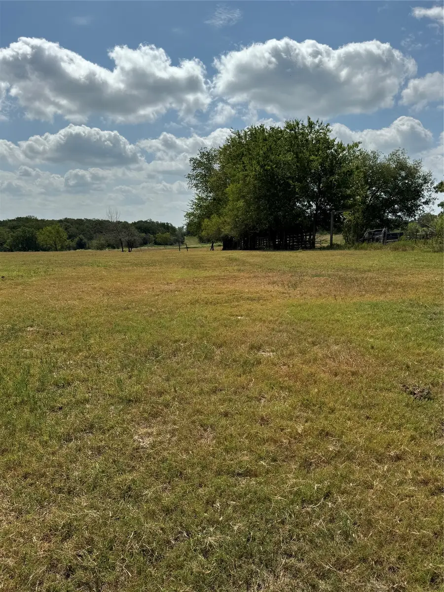 Tract 4 Fm 3060, Midway, TX 75852 - #2
