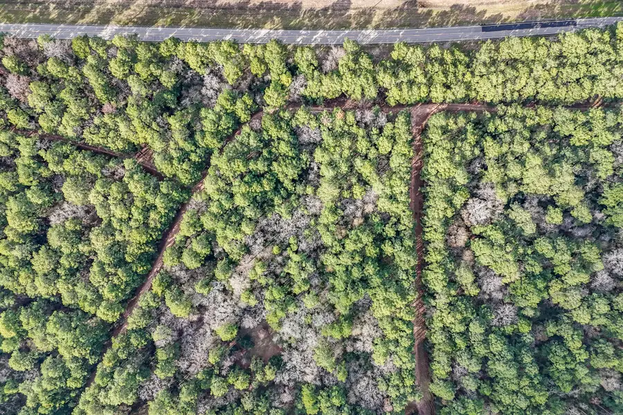 0 Hickory Bow Lane, Hempstead, TX 77445 - #2