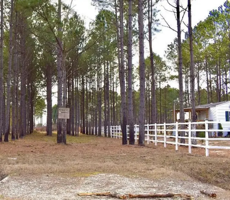 133 Laredo Dr, Cleveland, TX 77327 - Image #3