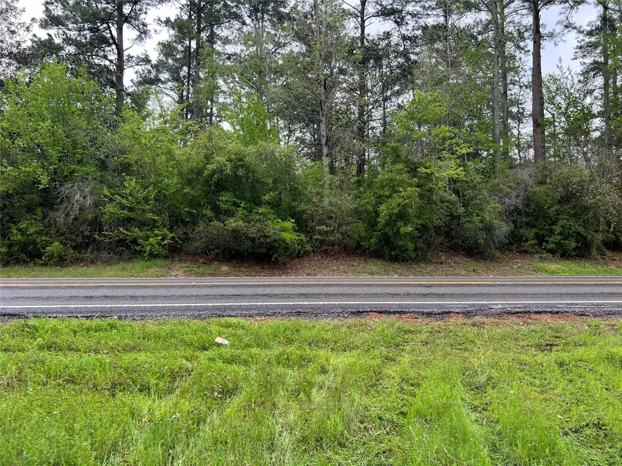 TBD Farm To Road 943, Livingston, TX 77351 - #2