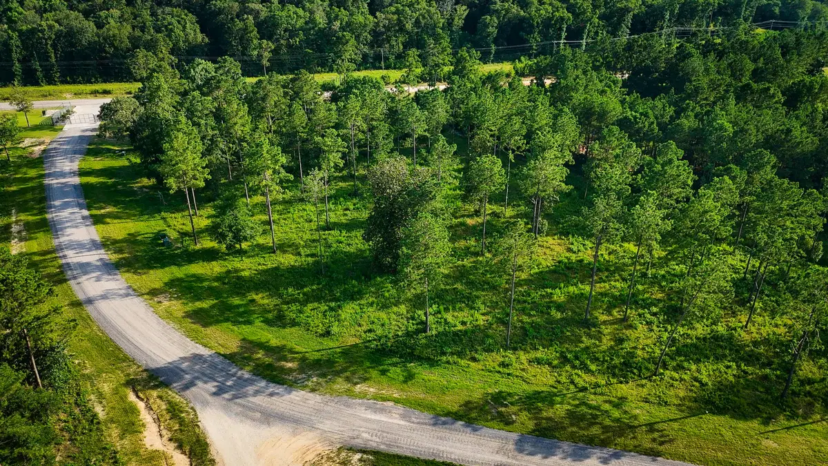 TBD LOT 5 Ridge Lake Road, Livingston, TX 77351 - Image #1