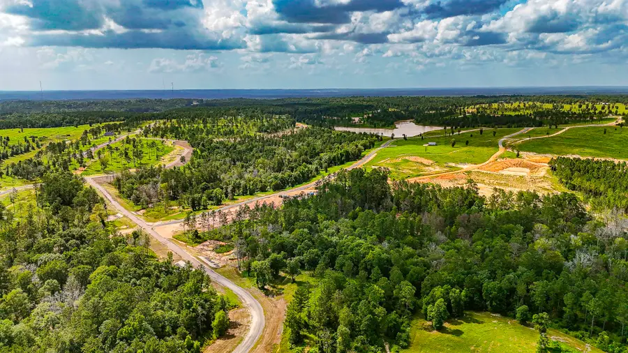 TBD LOT 5 Ridge Lake Road, Livingston, TX 77351 - Image #2