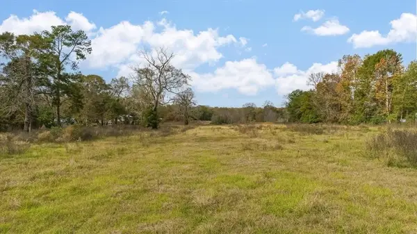 0 Minglewood Road, Liberty, TX 77575
