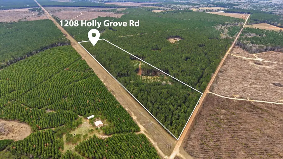 1208 Holly Grove Road, Livingston, TX 77351 - Image #3