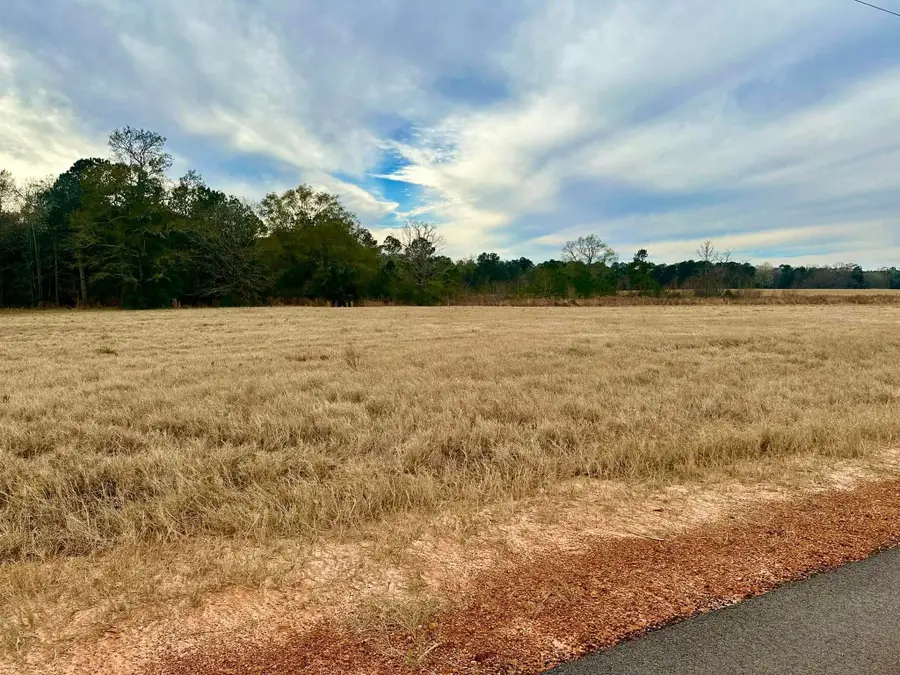 TBD S Green Valley Trail, Hillister, TX 77624 - Image #3