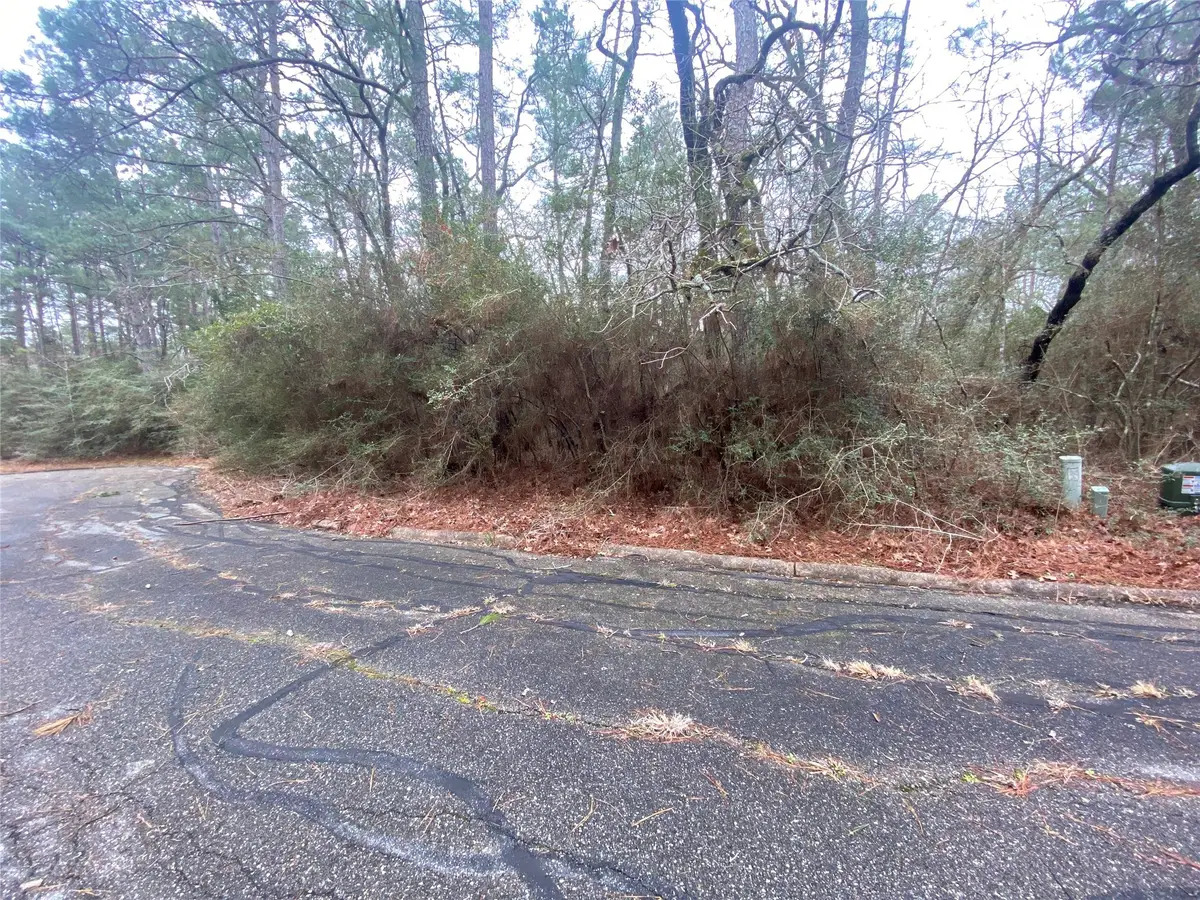 28605 Beechnut Court, Huntsville, TX 77320 - Image #1