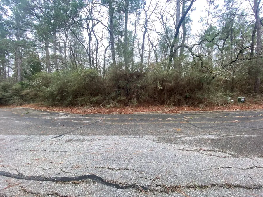 28605 Beechnut Court, Huntsville, TX 77320 - Image #2