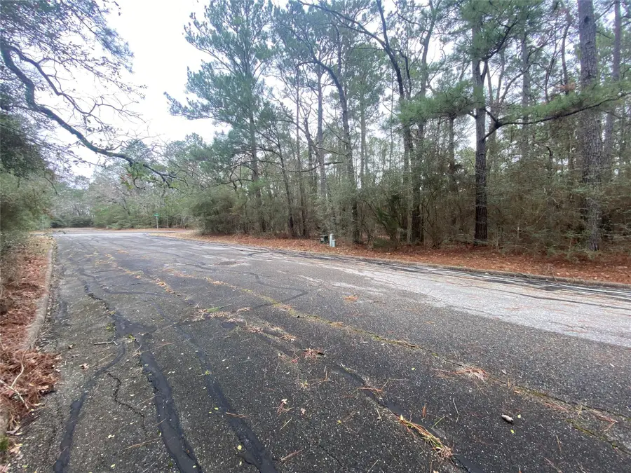 28605 Beechnut Court, Huntsville, TX 77320 - Image #3