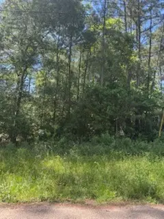 15871 Sycamore Drive, Montgomery, TX 77356 - #3