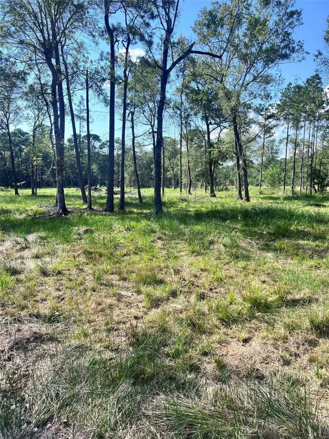 257 Rhonda Rosa Road, Wallisville, TX 77597 - Image #1