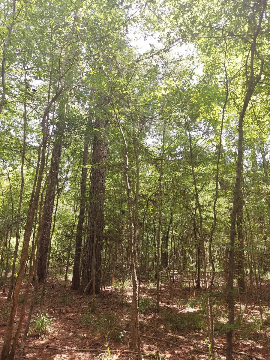 306 Deason Circle, Colmesneil, TX 75938 - Image #3