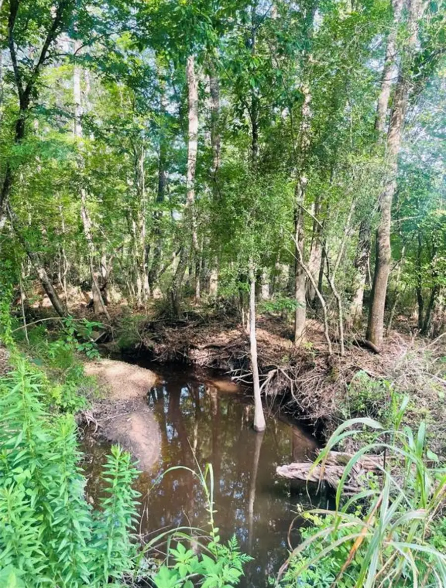 02 Bracewell Cemetery Road, Livingston, TX 77351 - #2