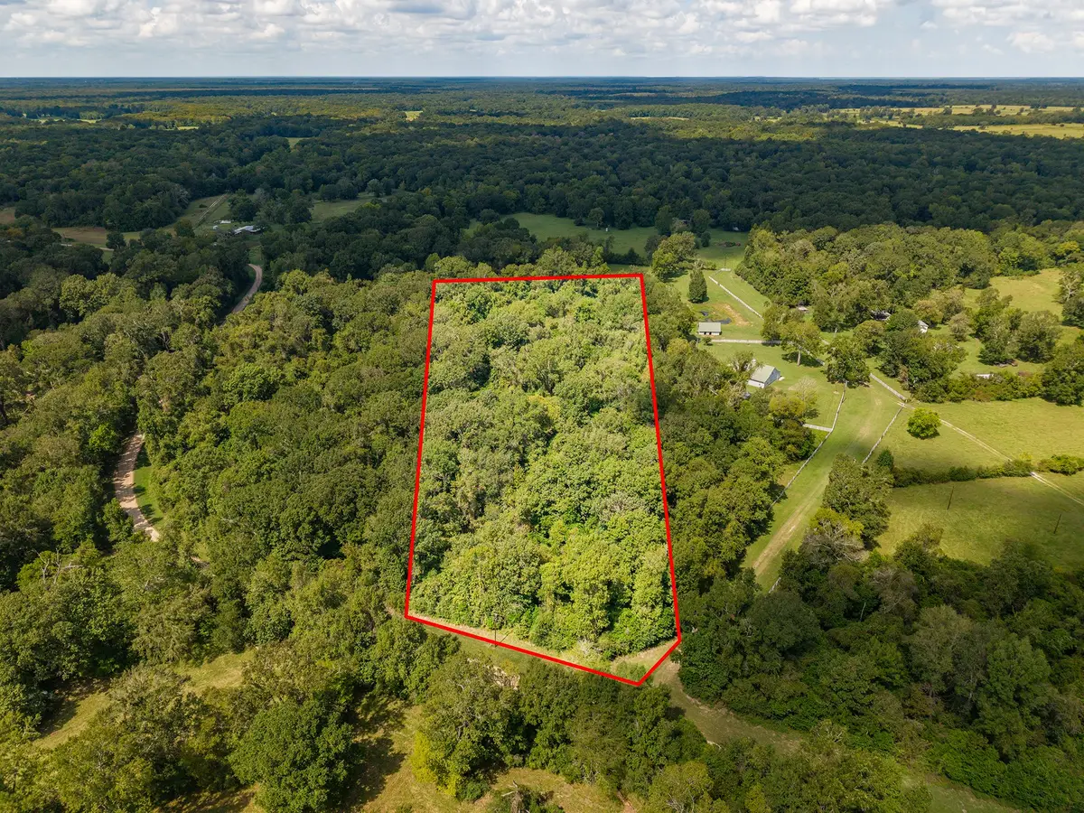 TBD Winding Creek Drive, Shepherd, TX 77371 - #1