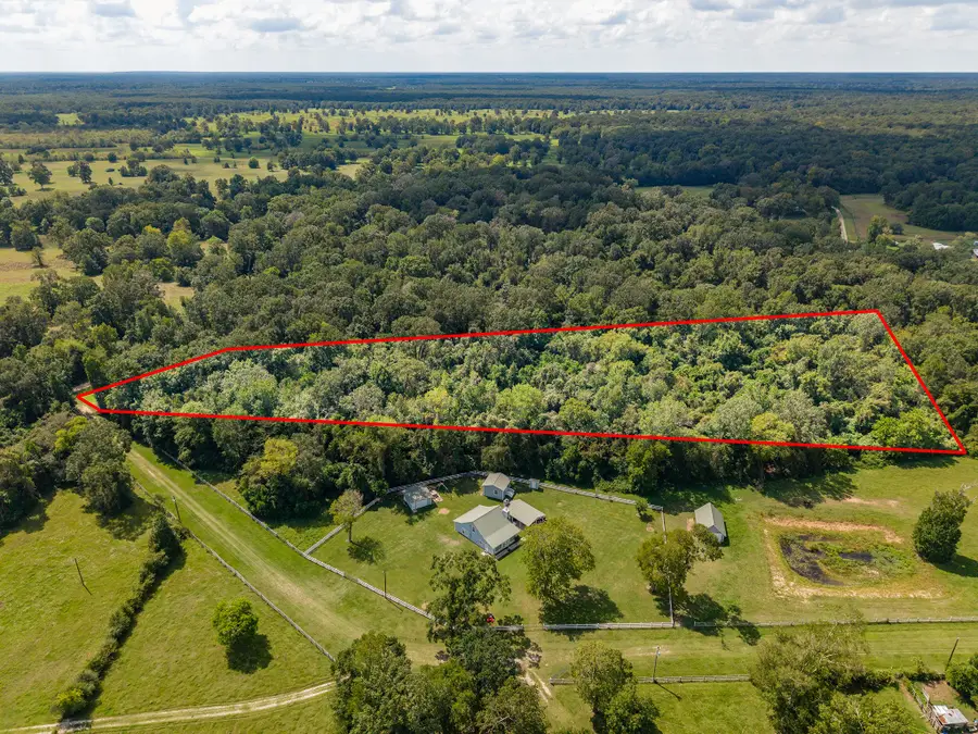 TBD Winding Creek Drive, Shepherd, TX 77371 - #2