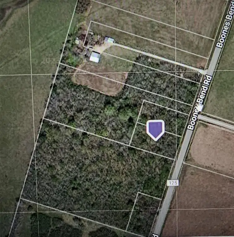 0 County Rd 125, Hungerford, TX 77448 - Image #3