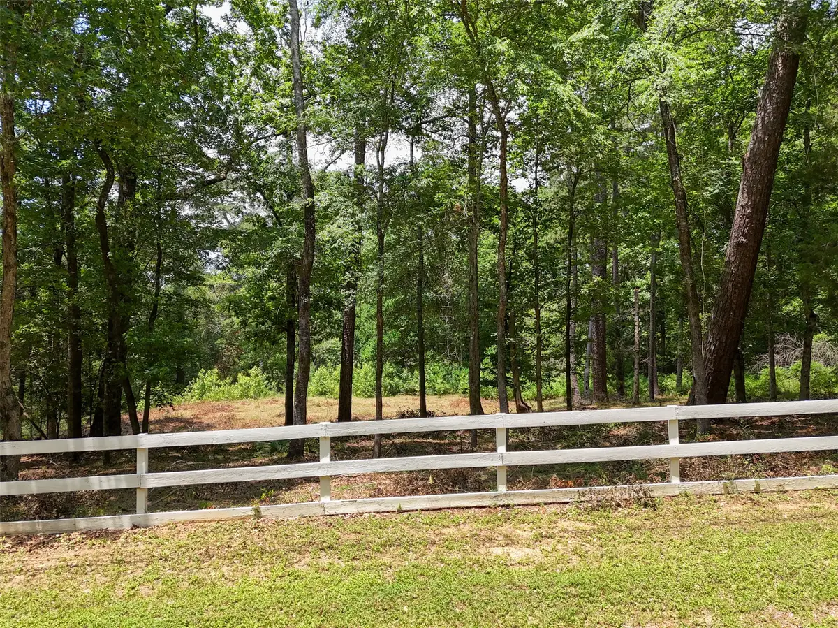 7393 Teaswood Drive, Conroe, TX 77304 - Image #1