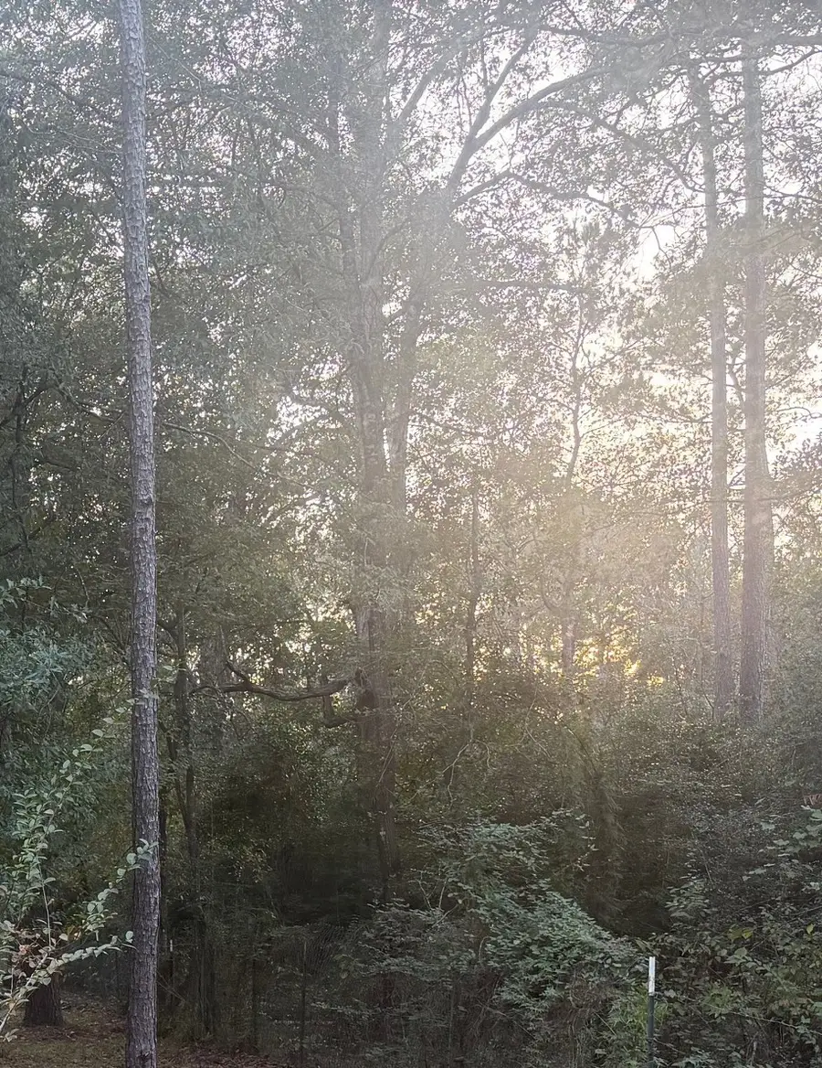 19008 Nottingham Lane, New Caney, TX 77357 - Image #2