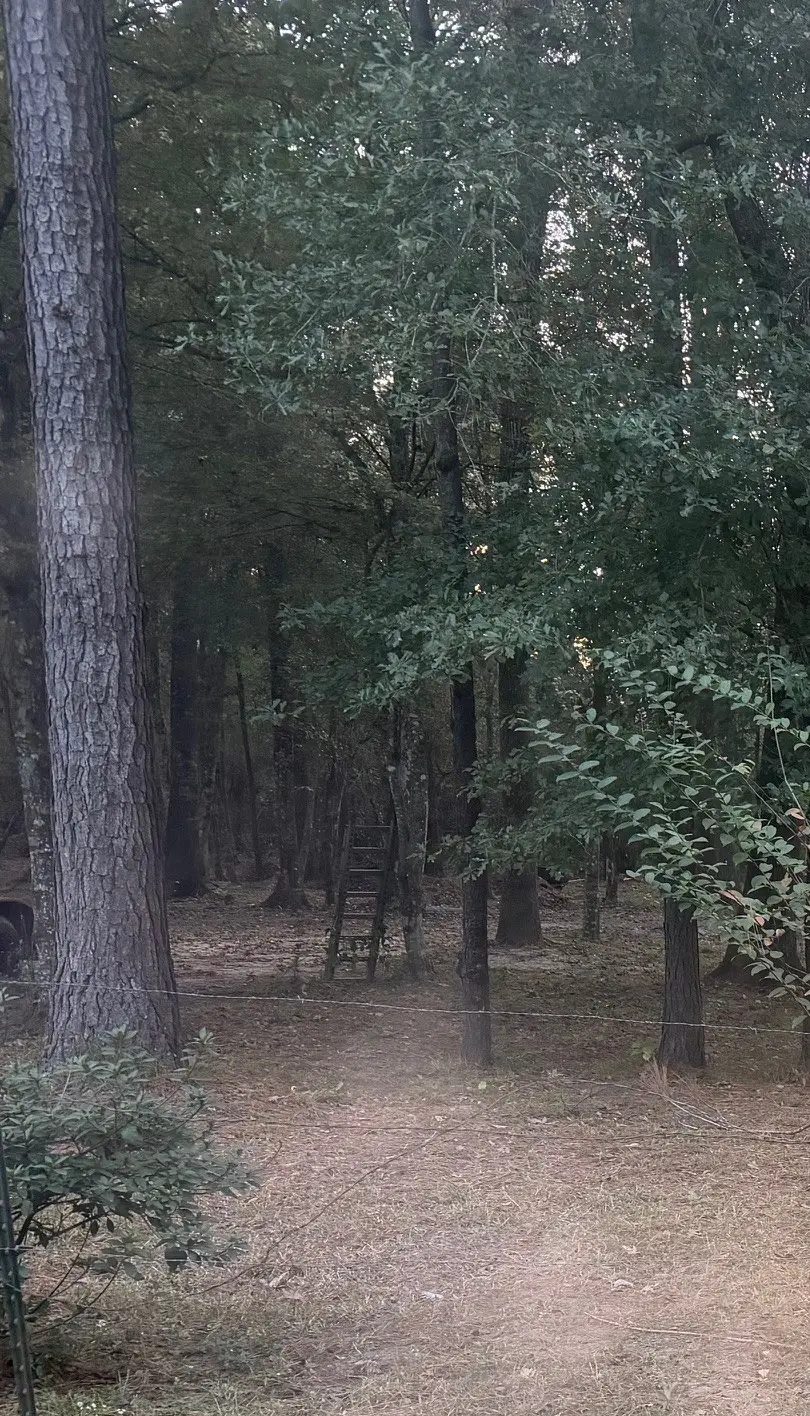 19008 Nottingham Lane, New Caney, TX 77357 - Image #3