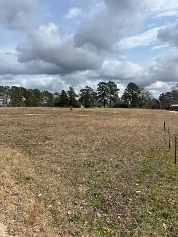 26703 Giles Rd Lote 1, Montgomery, TX 77356