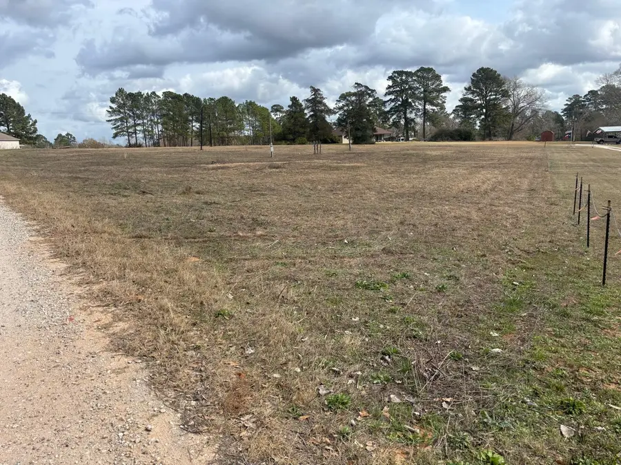 26703 Giles Rd Lote 1, Montgomery, TX 77356 - #2