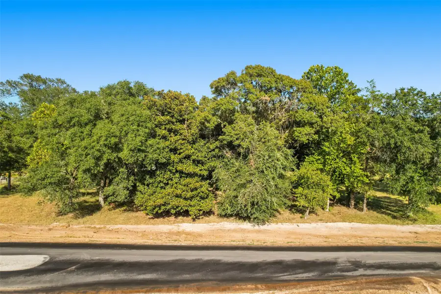 18200 Woodstream Crossing Road, Montgomery, TX 77316 - #2