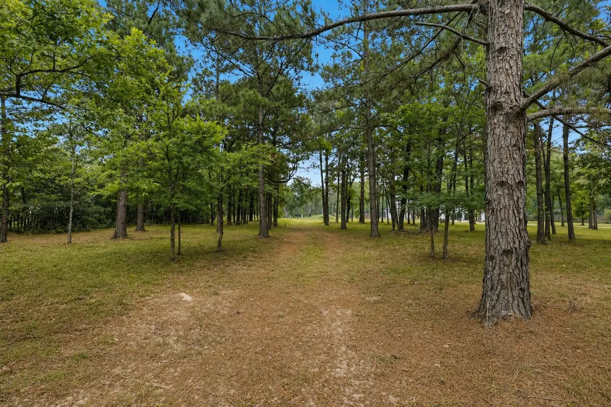 2302 Honea Egypt Road, Magnolia, TX 77354 - #1