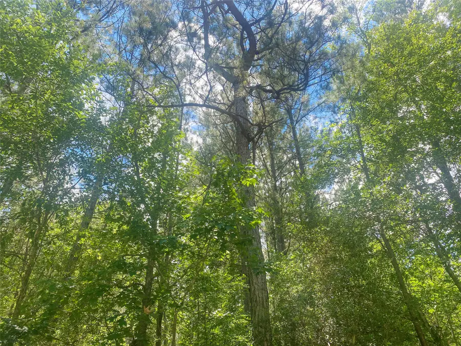 6934 County Road 2252, Cleveland, TX 77327 - #3