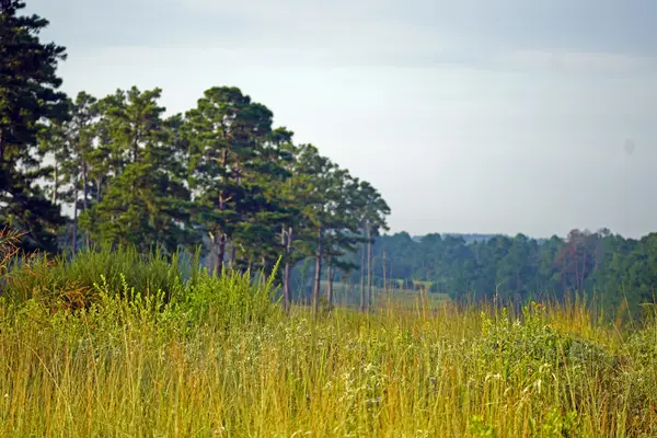 8301 State Highway 7 Highway E, Centerville, TX 75833