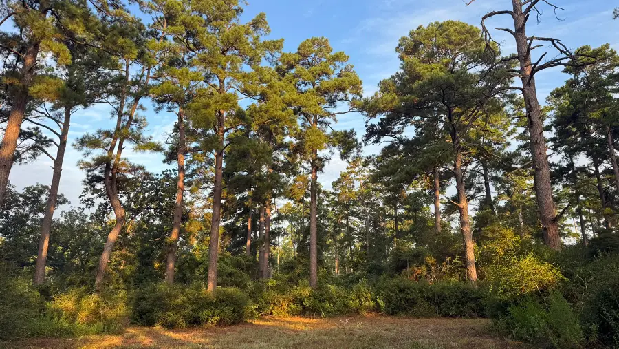 8301 State Highway 7 Highway E, Centerville, TX 75833 - Image #2