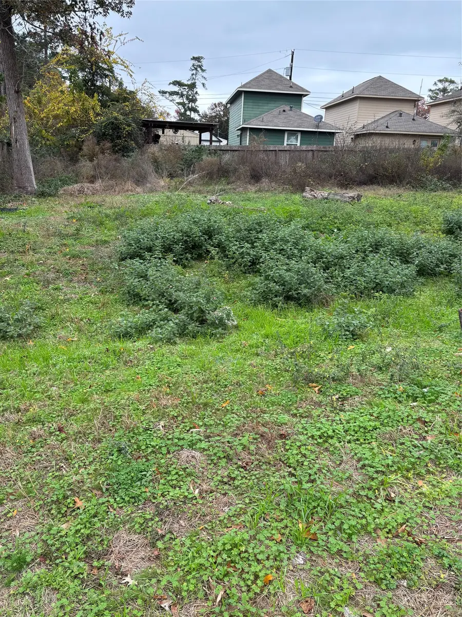 16716 E Ivanhoe, Montgomery, TX 77316 - #2