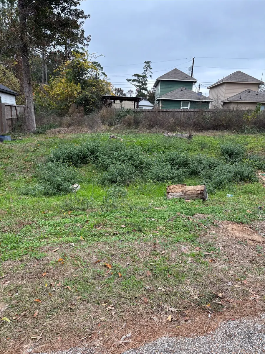 16716 E Ivanhoe, Montgomery, TX 77316 - #3